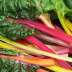 SwissChard
