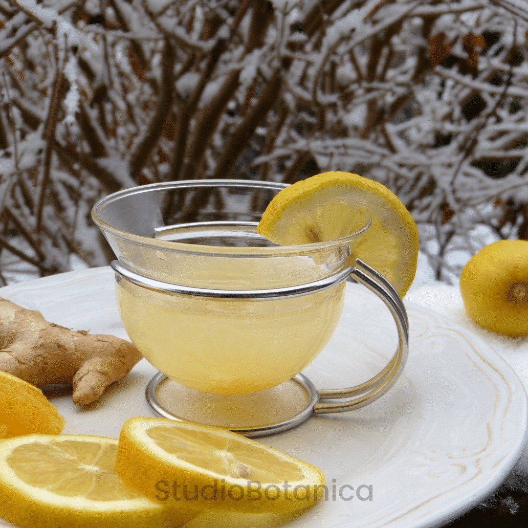 Ginger tea for Acid Reflux Feel better Studio Botanica