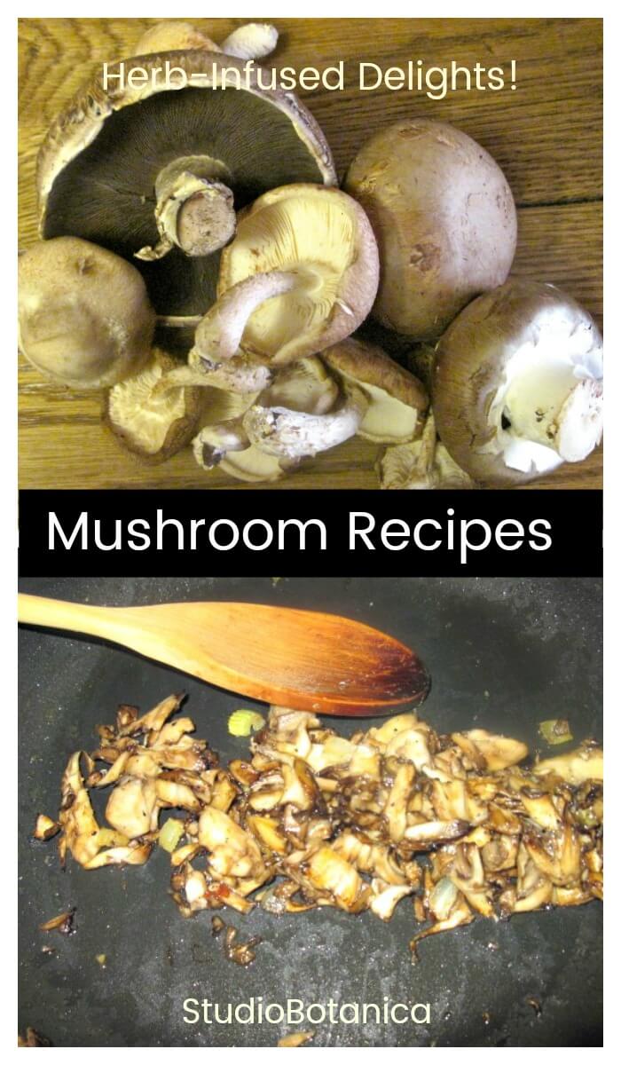 4 Fabulous Mushroom Recipes - Studio Botanica