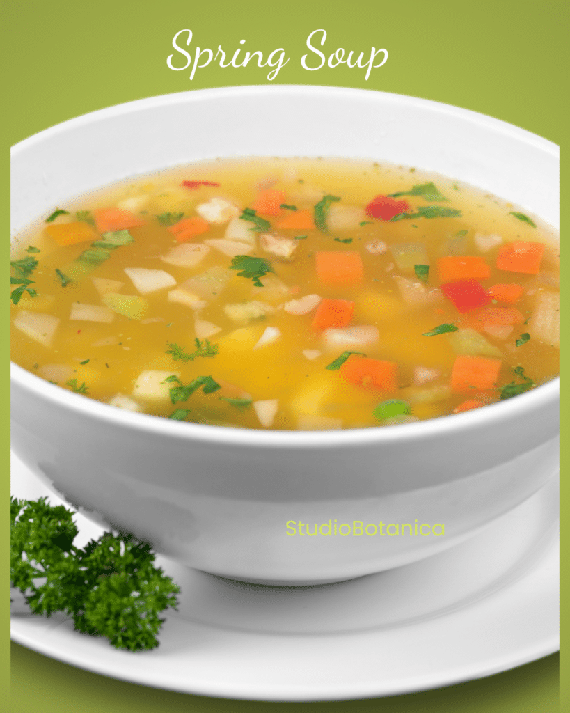 spring Soup