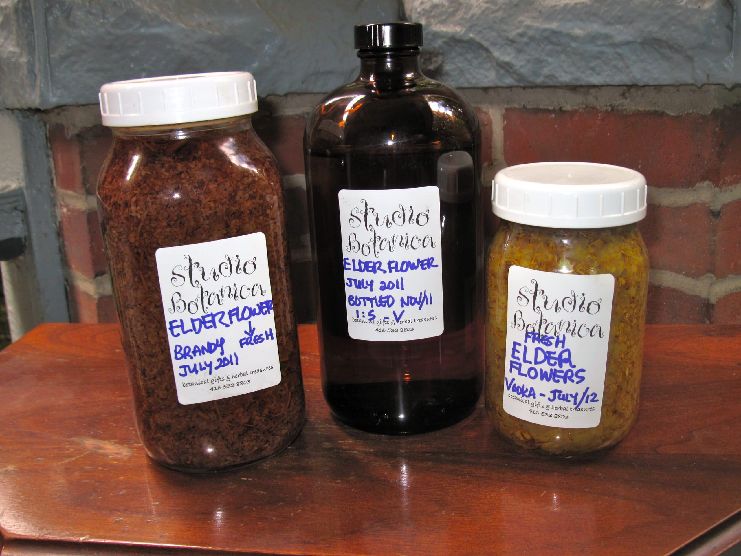 EASY ~ How to make your own herbal tinctures - Studio Botanica