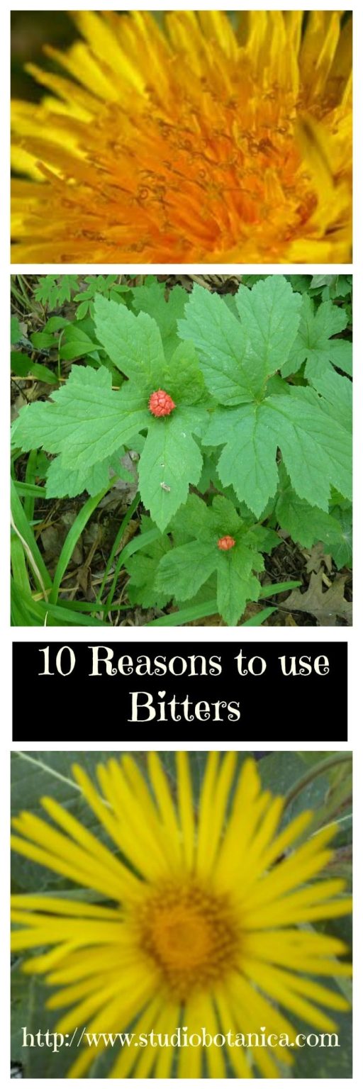 10 GOOD reasons to use Bitters Studio Botanica