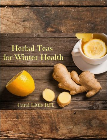 Herbal Teas For Winter Health Ebook - Studio Botanica