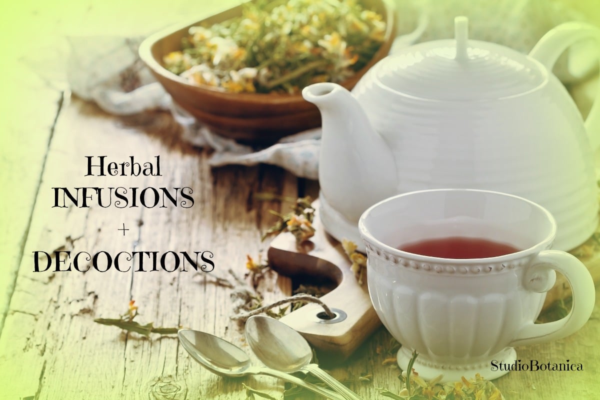 How to Make an Herbal Tea Infusion & Decoction - Homsted