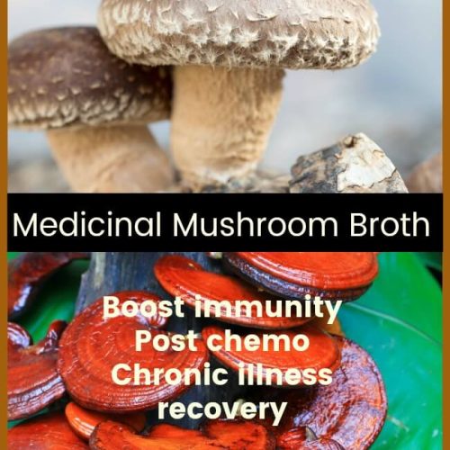 Medicinal Mushrooms Healing Broth - Studio Botanica