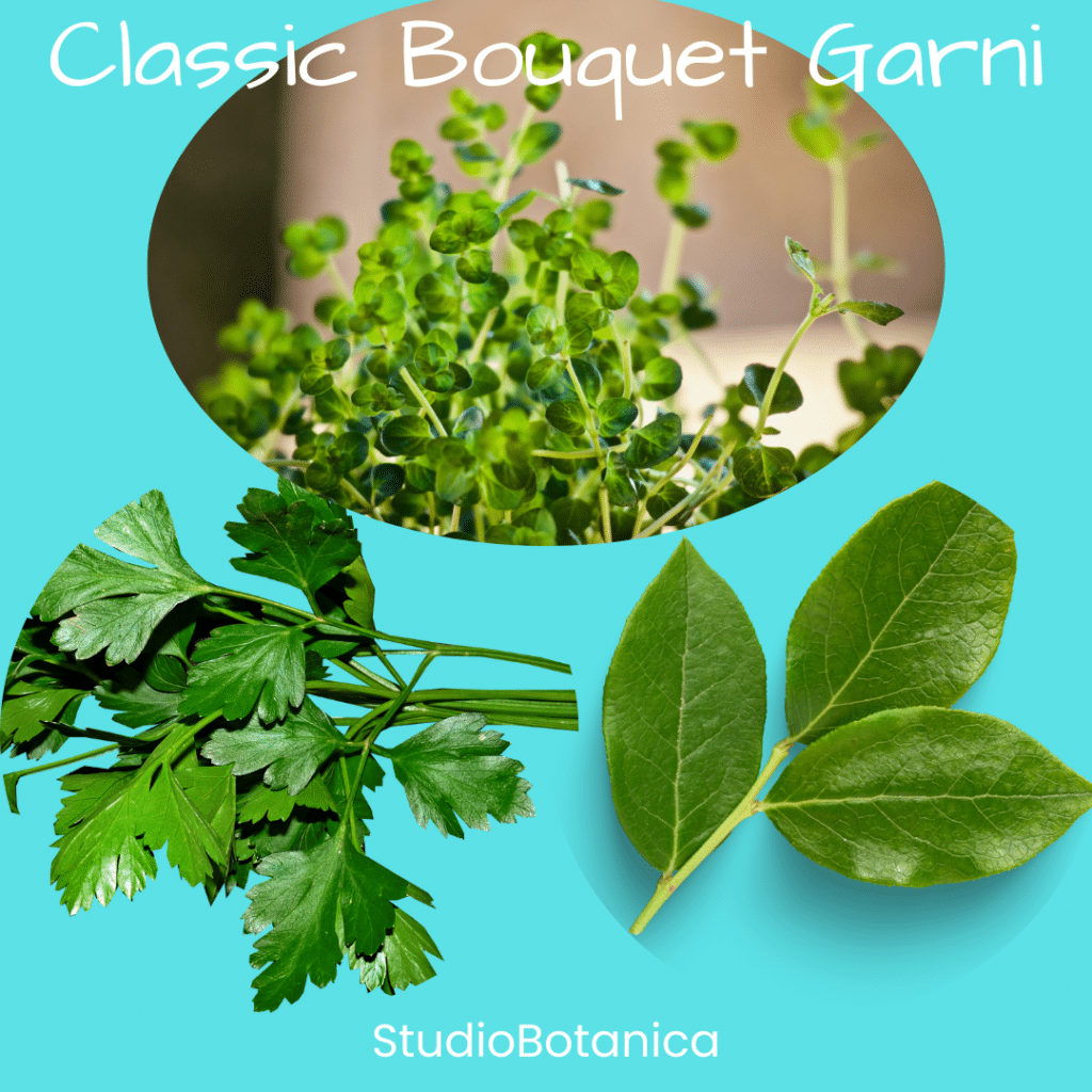 Bouquet Garni Herbs