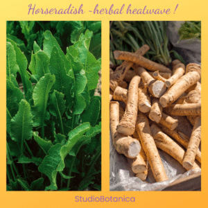 Horseradish Condiment ingredient!