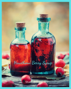 Hawthorn Berry Syrup