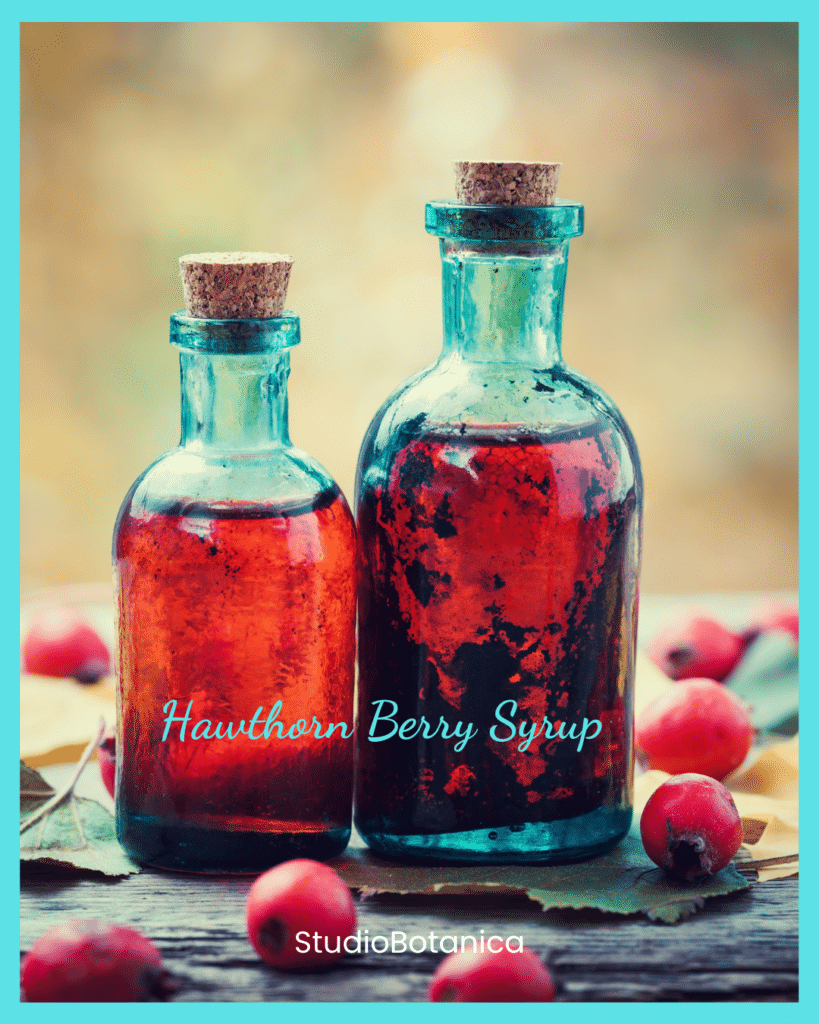 Hawthorn Berry Syrup